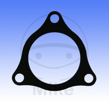 Exhaust pipe gasket ATHENA