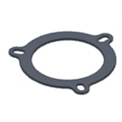 Graphite plate gasket MIVV 50.73.027.1 for small flange (3 holes)