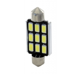 LED lemputė RMS 246511065 39mm 100 lumen white canbus