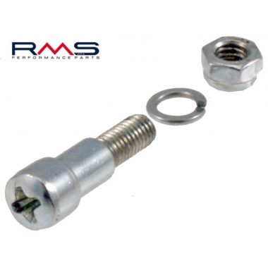 Lever securing screw RMS (50 pieces)