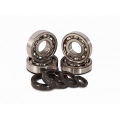Main bearing & seal kits C&L COMPANIES K071