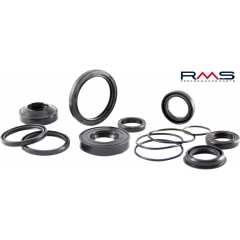 Oil seal RMS 100662010 20x32x7, drive shaft (1 piece)