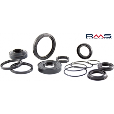Oil seal RMS 41x48x4 rear clutch pulley