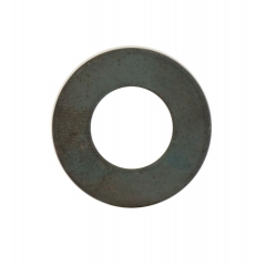 Rear pulley washer RMS 121858550 (20 pieces)