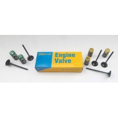 Steel intake valve kit AOKI 31.3408-2 with springs (2 pcs)