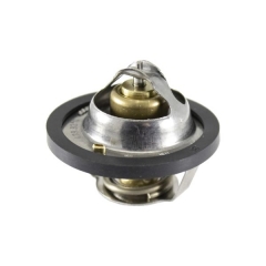 Thermostat RMS 100120300